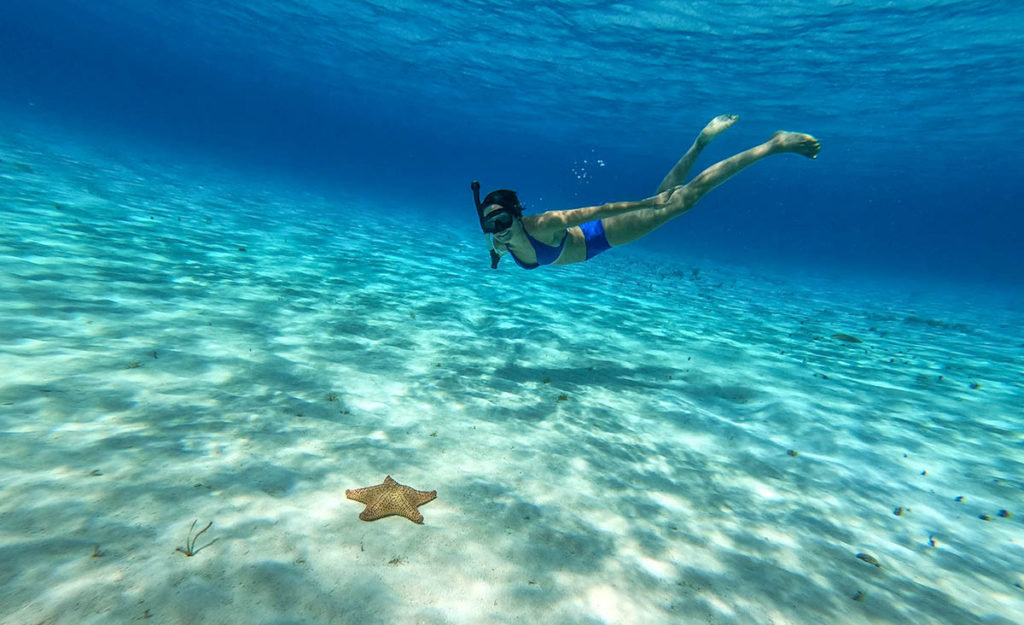 Snorkeling El cielo, Cozumel